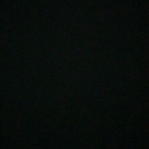 Meet your Posher, Raven